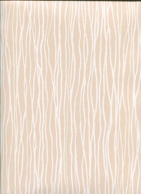 Shades Wallpaper SH34531 By Norwall For Galerie