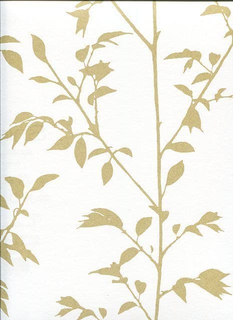 Shine Wallpaper Vegetal SHE 6857 00 24 SHE68570024 By Caselio