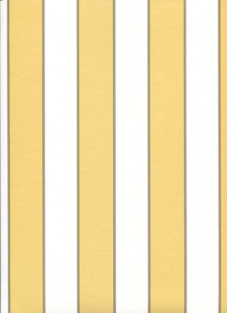 Smart Stripes Wallpaper G23163 By Galerie