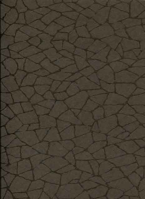 So Color 2 Rivoli Wallpaper SCR 1963 15 05 SCR19631505 By Casadeco