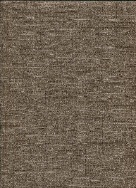 Spotlight Wallpaper 02460-50 By Dieter Bohlen P+S International For Colemans