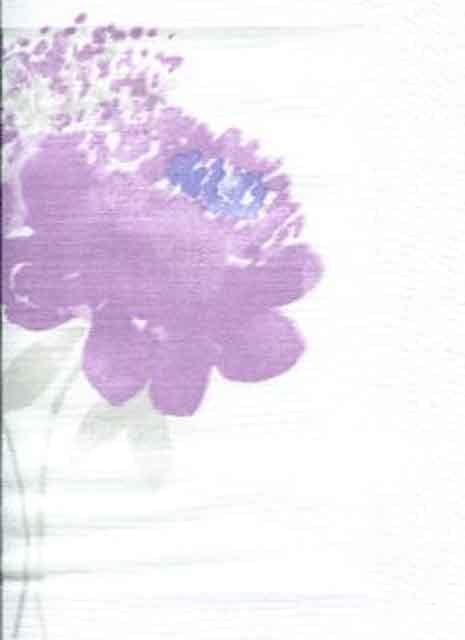 Spring Voile Fabric SPR 2451 51 08 SPR24515108 By Casadeco
