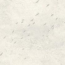 Transition Wallpaper Fly North Snow FJ31005 By Mayflower For Today Interiors