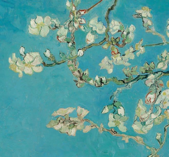 Van Gogh II 2 Wallpaper Mural Almond Blossom Close Up 200331 or VAN200331 By BN Wallcoverings For Te