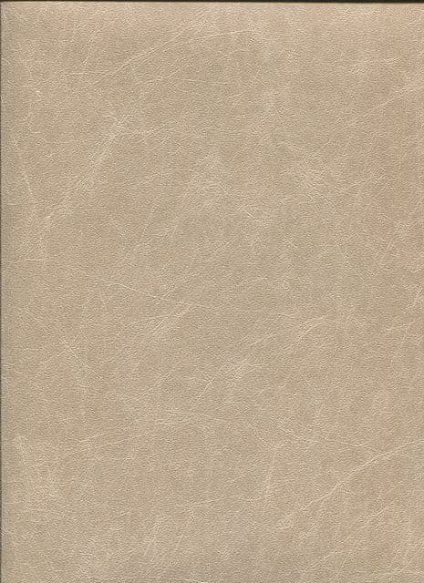 Verde Intrinsic Muse Wallpaper SD401046 By Design id For Colemans