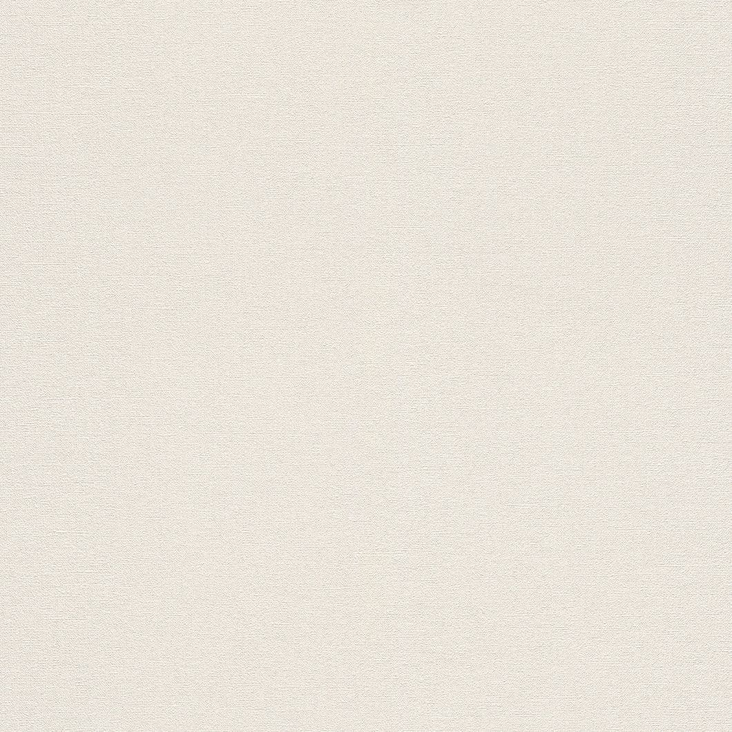 Wall Textures IV 4 Wallpaper 449808 By Rasch For Galerie