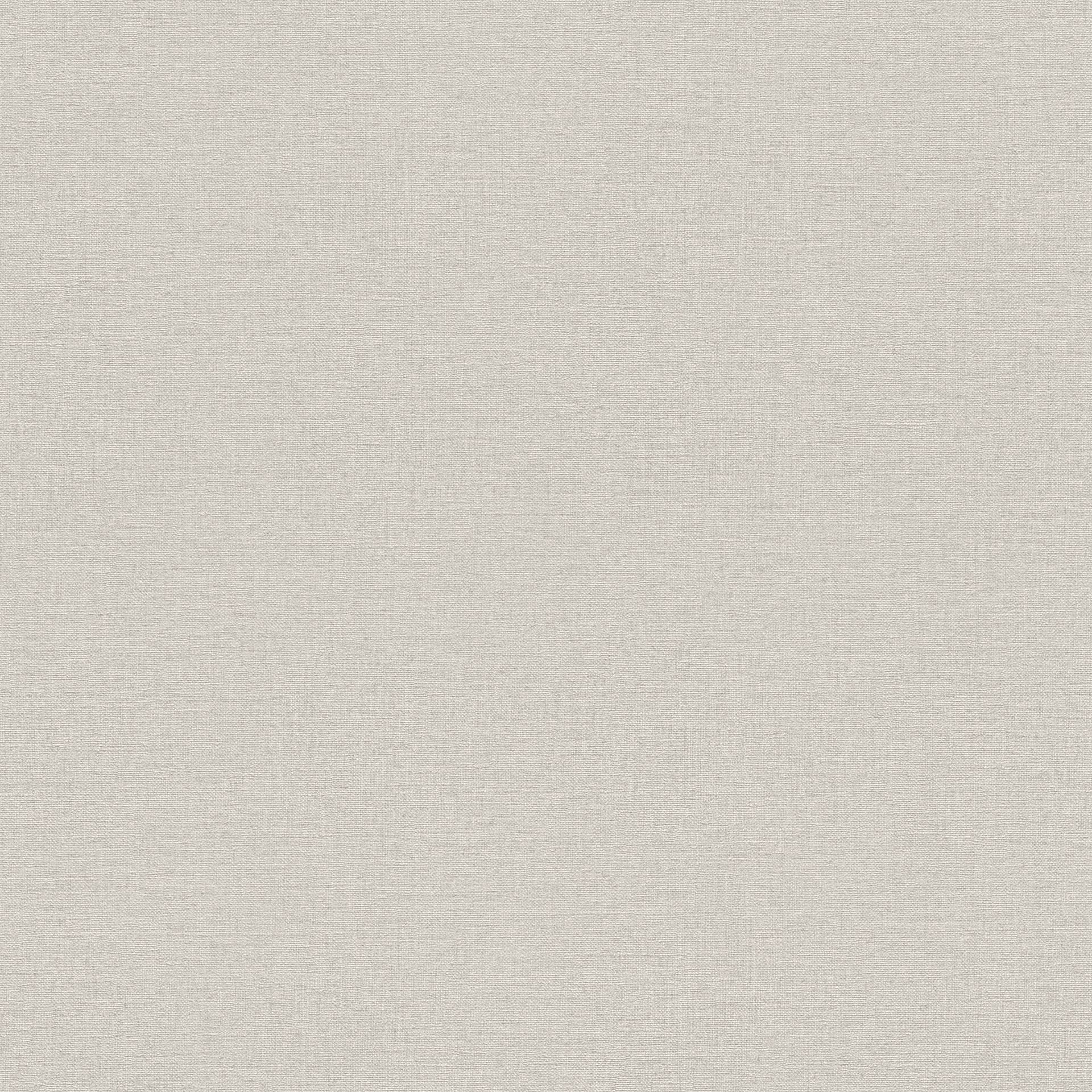 Wall Textures IV 4 Wallpaper 452013 By Rasch For Galerie
