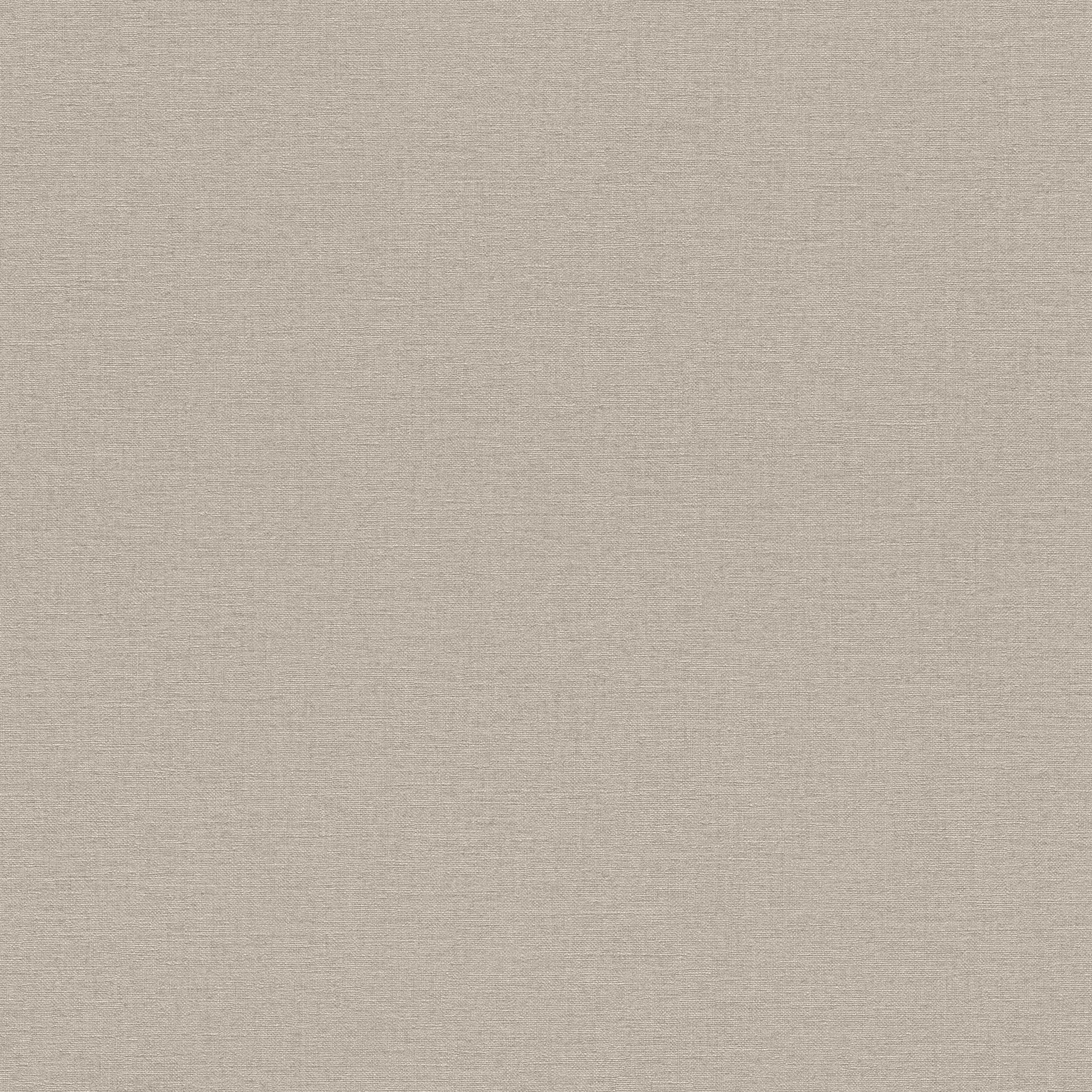 Wall Textures IV 4 Wallpaper 452020 By Rasch For Galerie