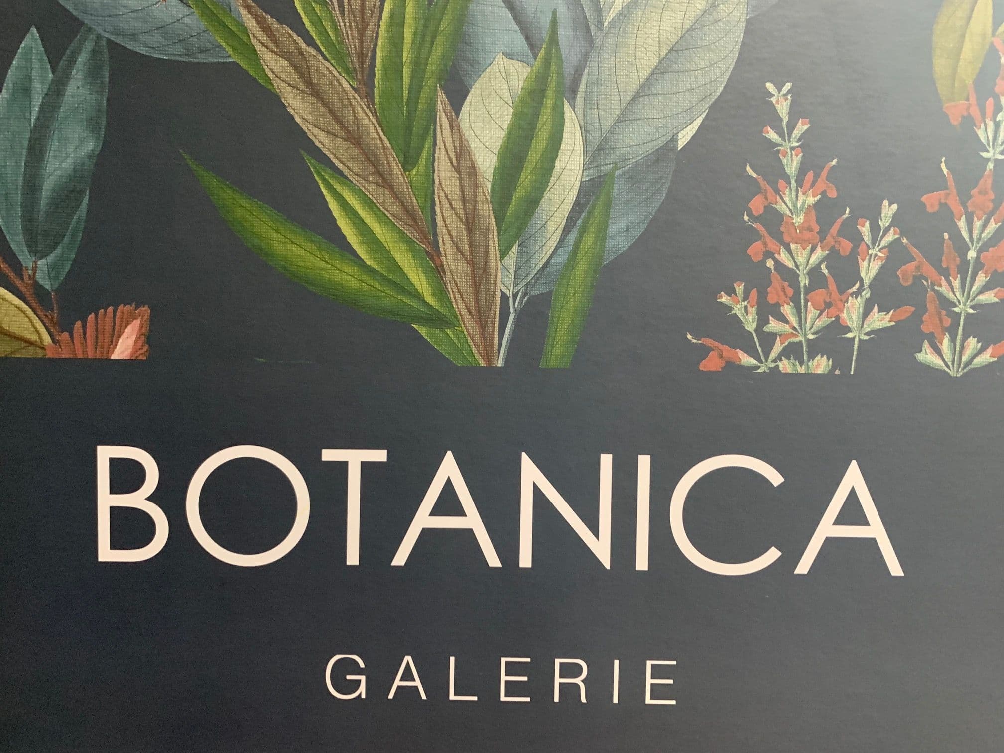 Botanica By Galerie