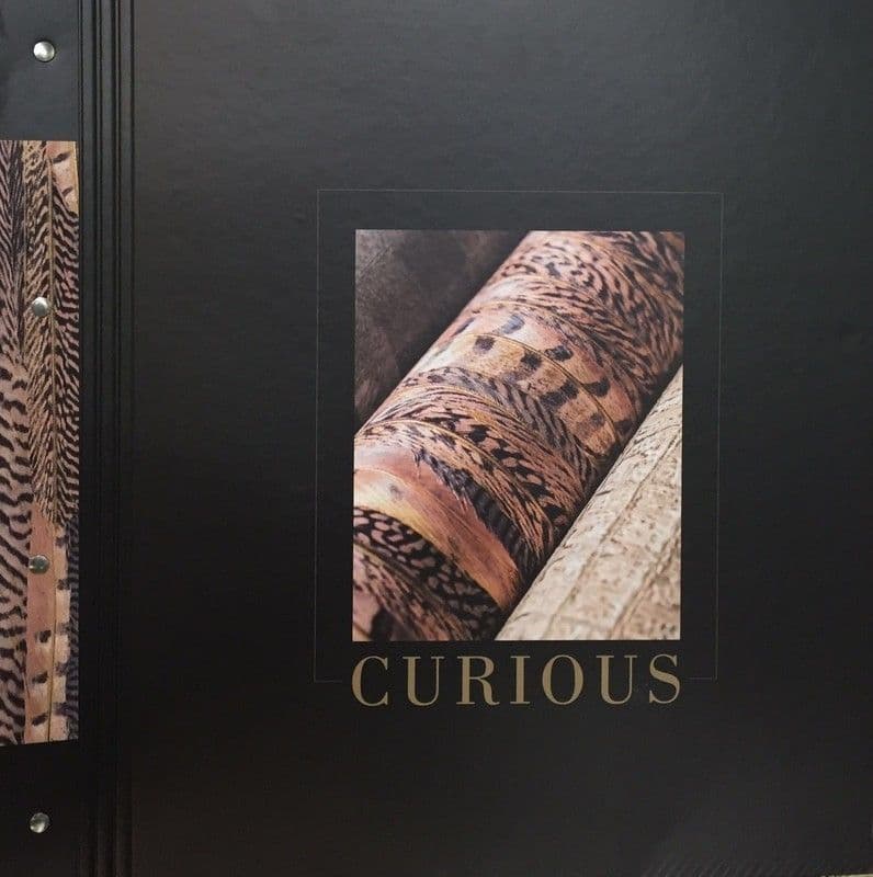 Curious By BN Wallcoverings For Tektura