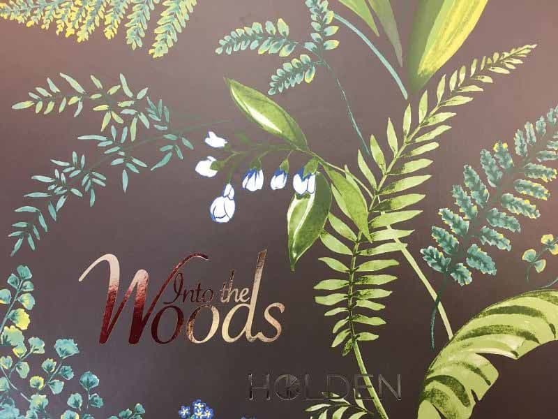 Into The Woods By Holden