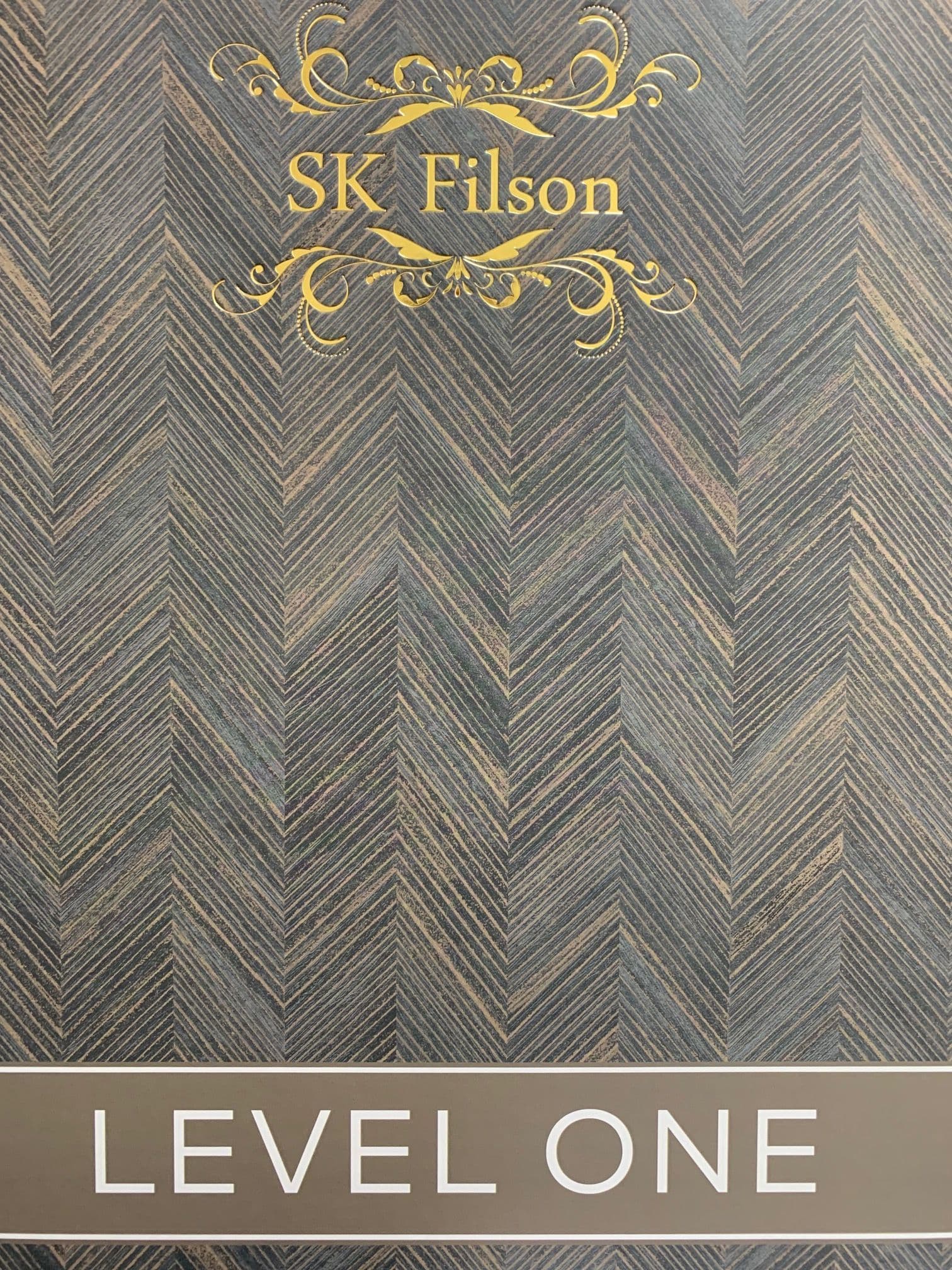 Level One By SK Filson For Dixons Exclusive