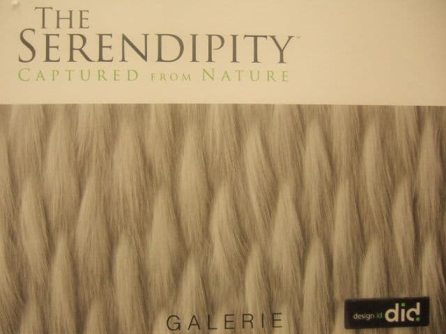 The Serendipity Captured From Nature By Galerie