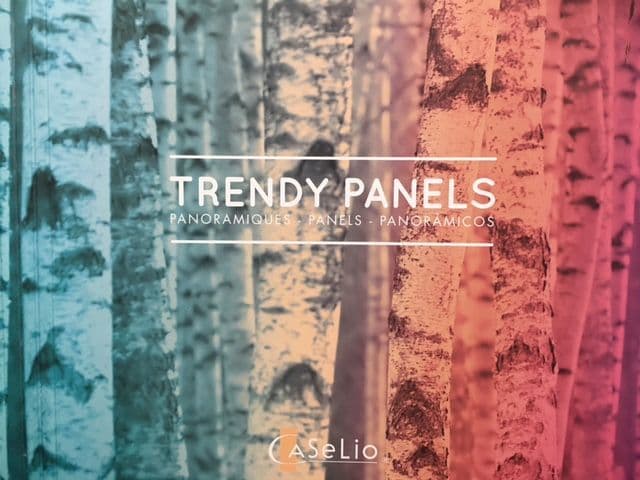 Trendy Panels By Caselio